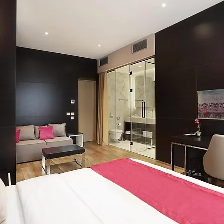 Gasthuis Maccani Black Luxury Belgrado